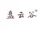 盘云谷 