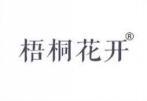 梧桐花开 