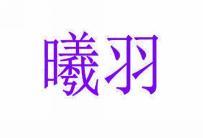 曦羽 
