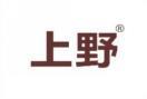 上野 
