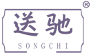 送驰 