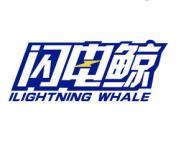 闪电鲸 ILIGHTNING WHALE 