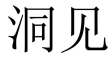 洞见 