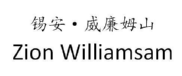 锡安威廉姆山;ZION WILLIAMSAM 