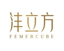 沣立方
FEMERCUBE 
