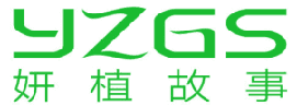 妍植故事YZGS 