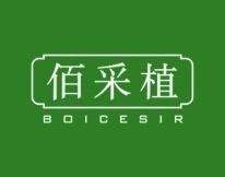 佰采植
BOICESIR 