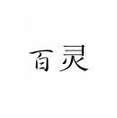百灵 