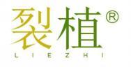 裂植 