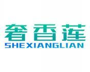奢香莲 