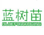 蓝树苗 BLUEFORGROWING 