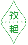 孜艳 