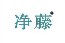 净藤 