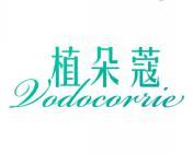 植朵蔻 VODOCORRIE 