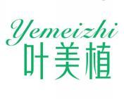 叶美植 
