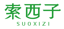 索西子 