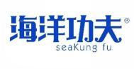 海洋功夫 SEAKUNG FU  