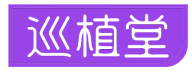 巡植堂 