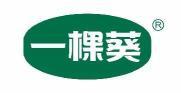  一棵葵 