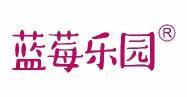 蓝莓乐园 