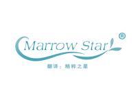 Marrow Star(精粹之星） 