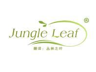 Jungle Leaf(丛林之叶） 