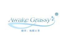 Awake Grassy（唤醒之萃） 