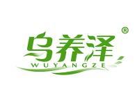 乌养泽 