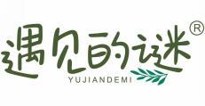 遇见的谜 