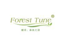 Forest Tune（森林之调） 