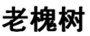 老槐树 
