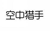 空中猎手 
