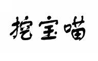 挖宝喵 