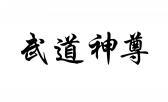 武道神尊 
