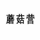 蘑菇营 