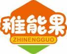[41类]稚能果
zhinengguo