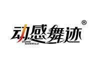 动感舞迹 