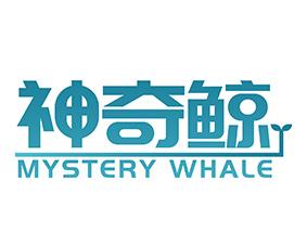 神奇鲸 MYSTERY WHALE 