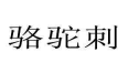 骆驼刺 