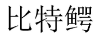 比特鳄 