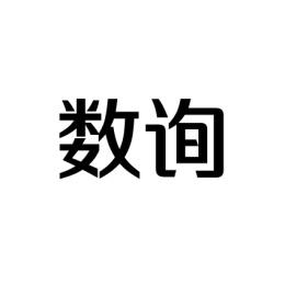 数询 