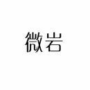 [42类]微岩