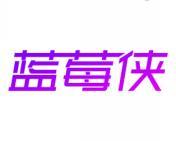 蓝莓侠 