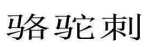 骆驼刺 