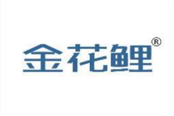 金花鲤 