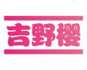 吉野樱 