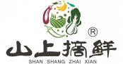 山上摘鲜  