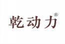 乾动力 