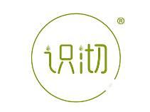 识沏 