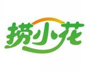 捞小花 